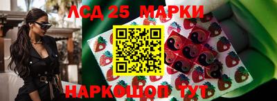 молекула духа Новозыбков