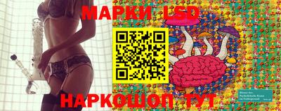 молекула духа Новозыбков