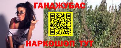 гидра Новодвинск