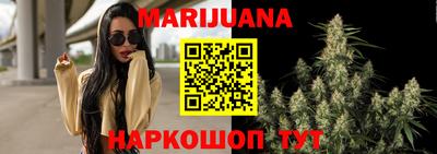 молекула духа Новозыбков