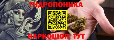 гидра Новодвинск