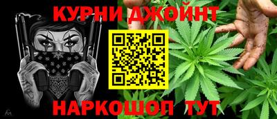 гидра Новодвинск