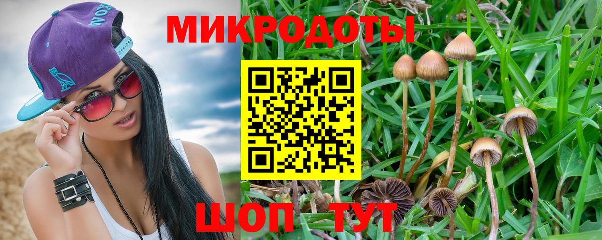 Галлюциногенные грибы прущие грибы Рубцовск